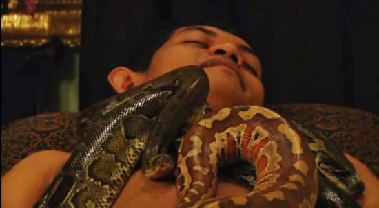 Spa using snake therapy