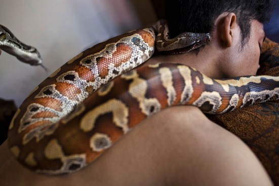 snake_massage4