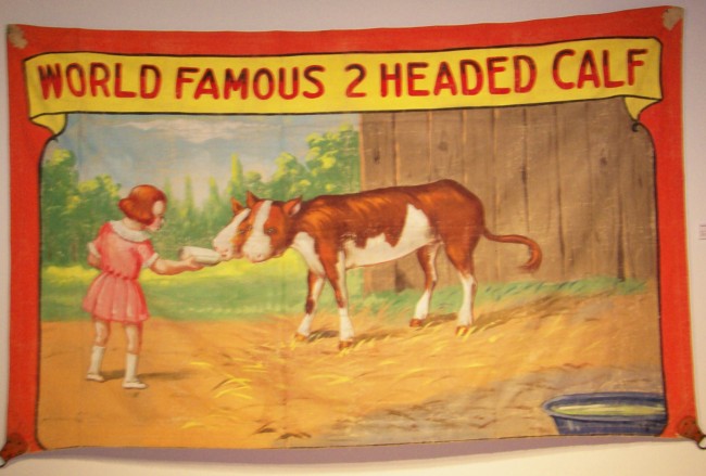 two-headed-calf-banner