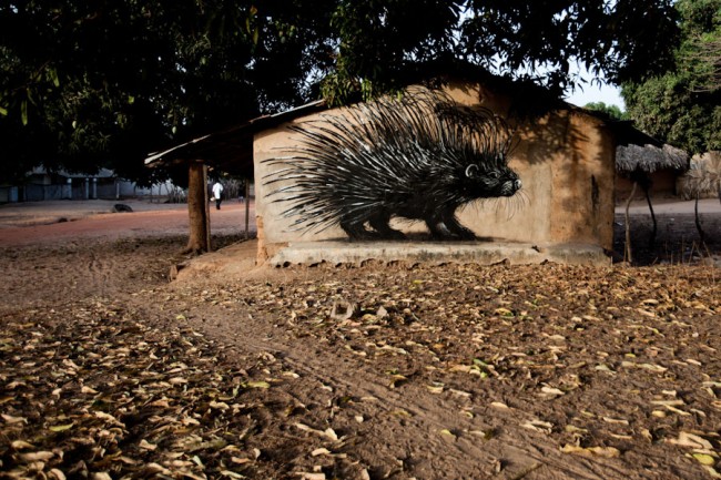 ROA-2011-The Gambia-WOW-picture by Jonx-IMG_3121_1000