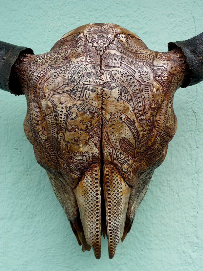 carved-buffalo-skull-jason-borders