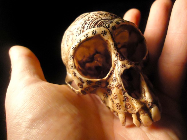carved-monkey-skull-jason-borders
