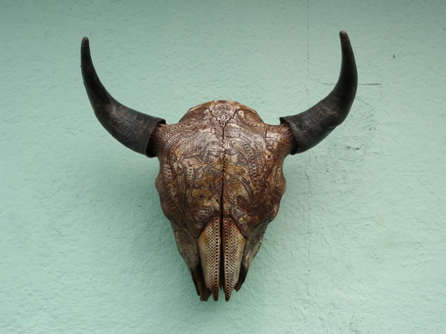 carved-skull-buffalo-jason-borders