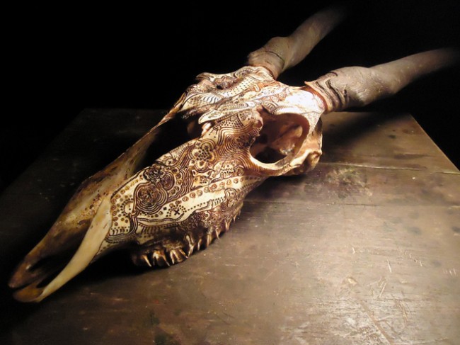 eland-skull-by-jason-borders