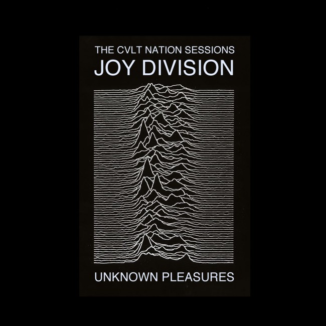 Joy-Division_Unknown-Pleasures_Shes-Lost-Control-1979