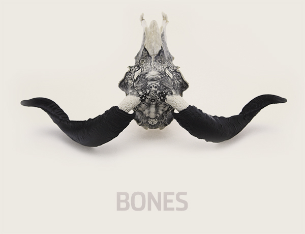 bones1