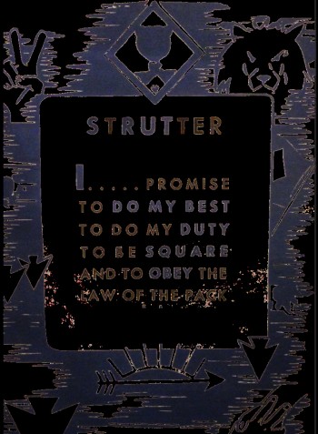 strutter review