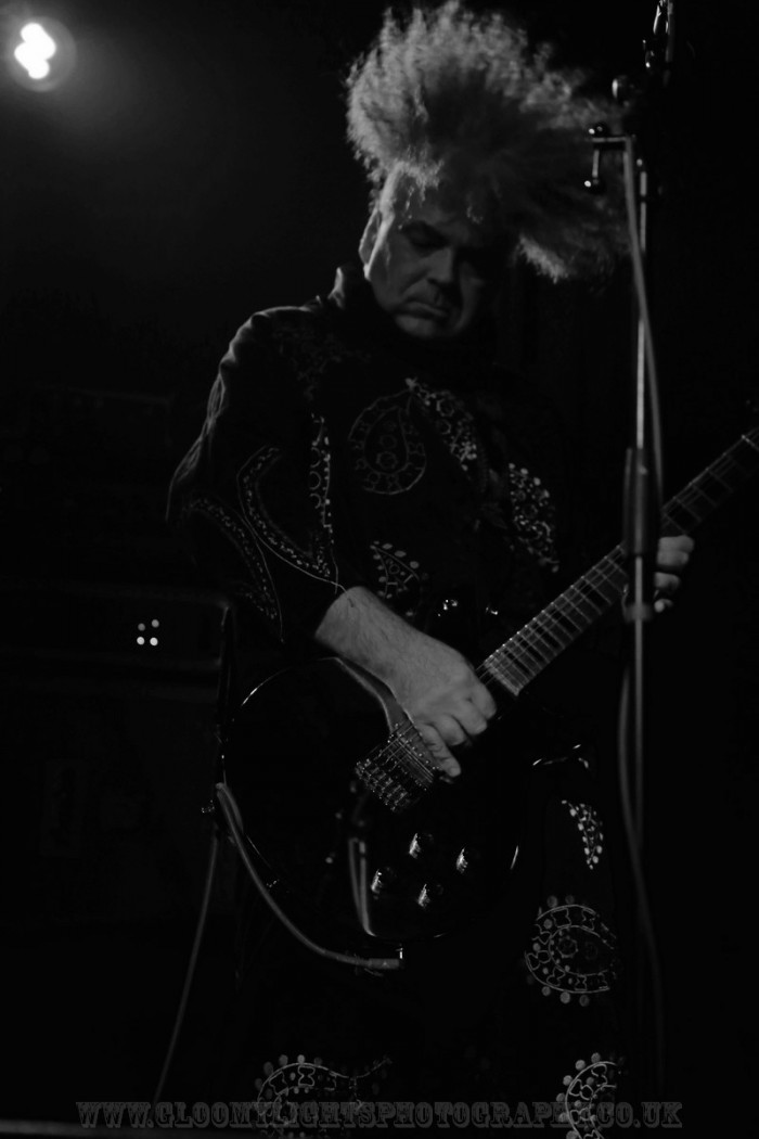 The Melvins (5)