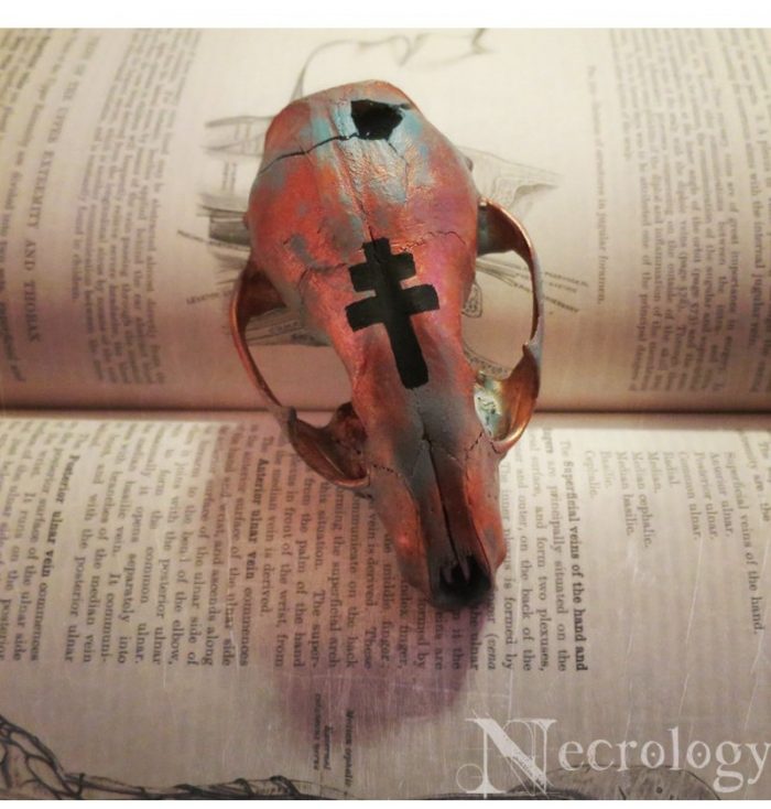 Necrology - Witchy Painted Raccoon Skull