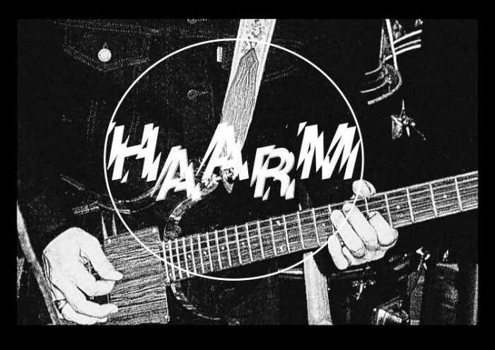 haarm - fhaussessioncover