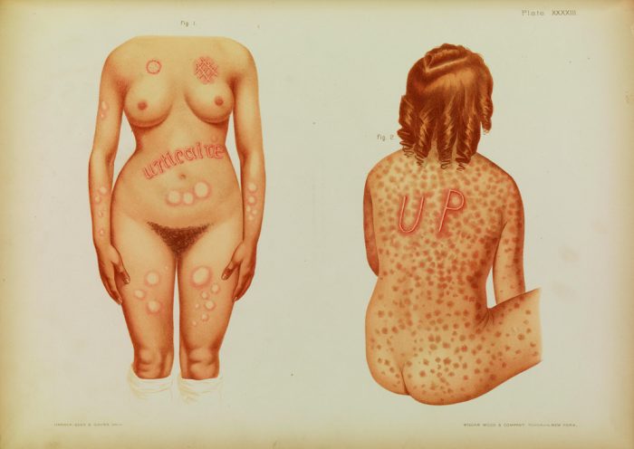 images@wellcome.ac.uk