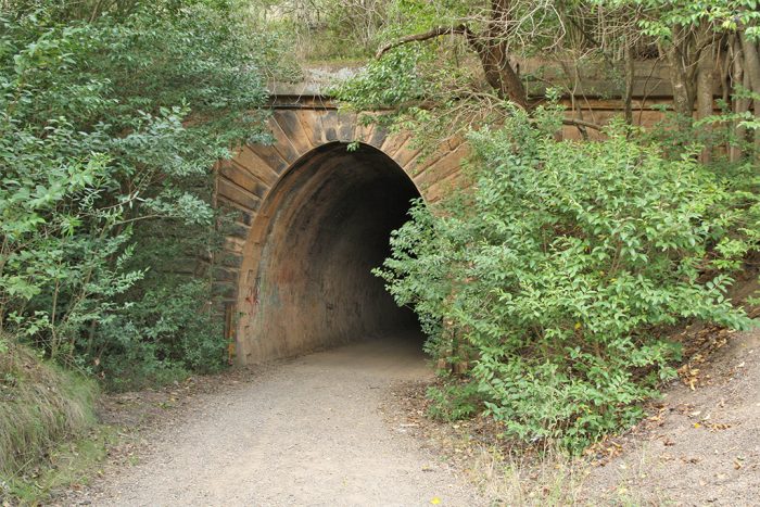 Picton_Mushroom_Tunnel
