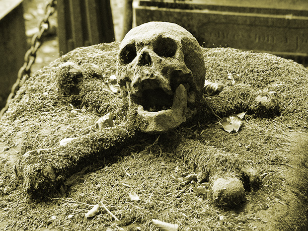 skull-on-grave
