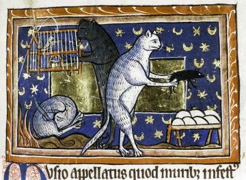 A depiction of domestic cats from an illuminated manuscript.